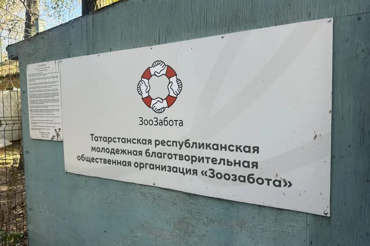 Госэкспертиза РТ поддержала приюта для животных в Высокогорском районе РТ